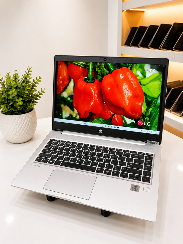 لپتاپ استوک اچ پی HP ProBook 440 G7 | پردازنده Core i5 نسل 10 | رم 8 گیگ | حافظه 256SSD | صفحه نمایش 14 اینچ