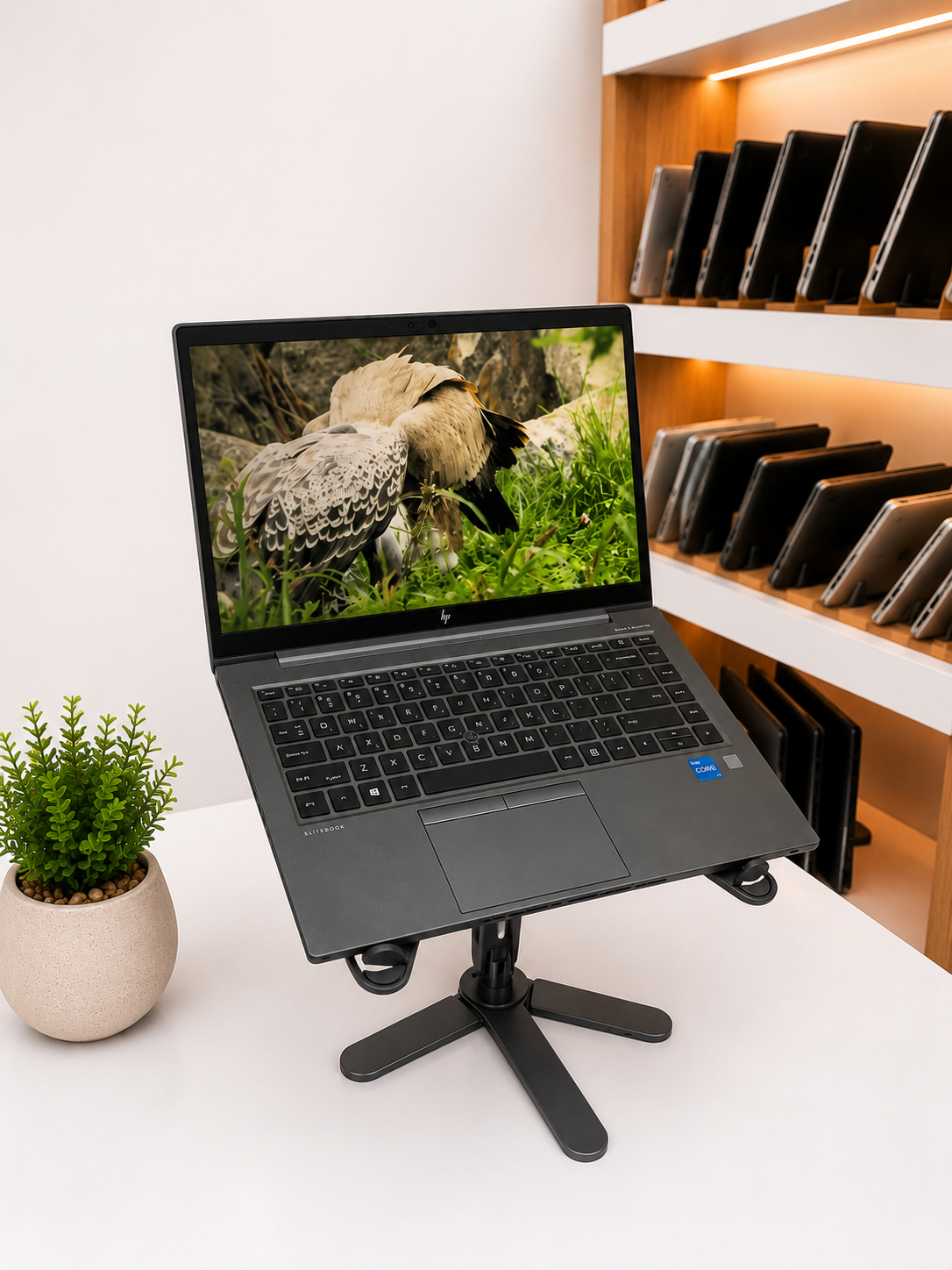 لپتاپ استوک اچ پی HP Zbook Firefly G8 | پردازنده Core i5 نسل 11 | رم 8 گیگ | حافظه 256SSD | صفحه نمایش 14 اینچ